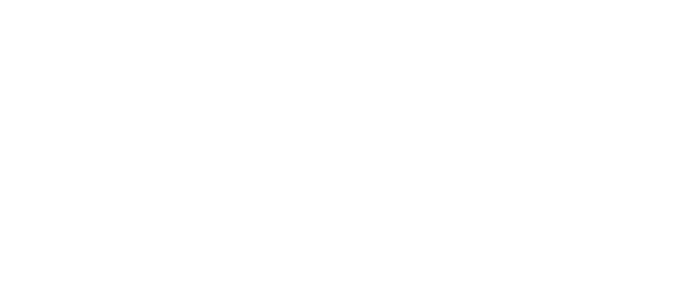 Echo Consulting Logo